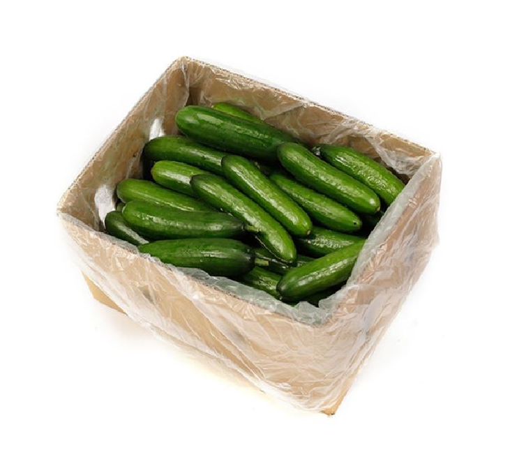LEBANESE CUCUMBER BOX