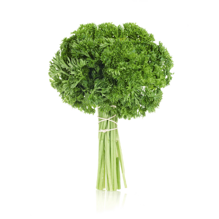 CURLY PARSLEY