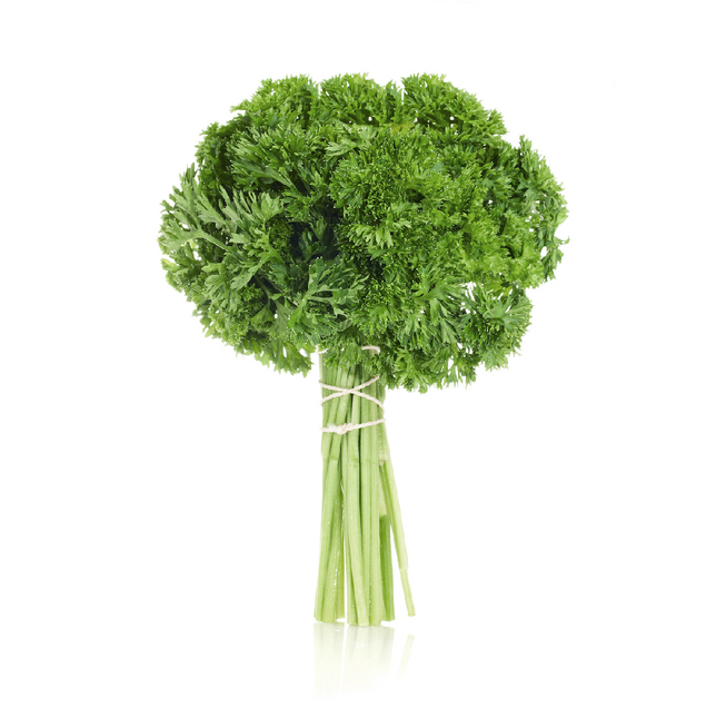 CURLY PARSLEY