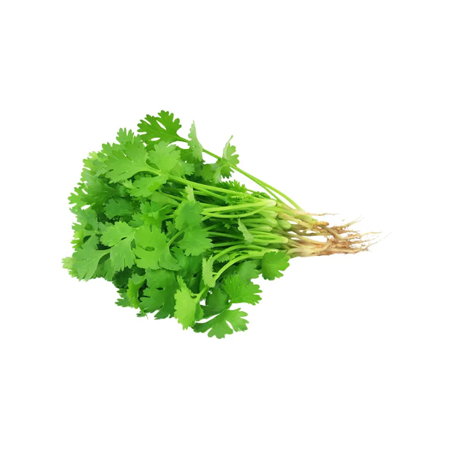 CORIANDER