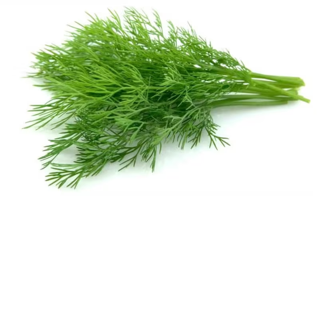 DILL