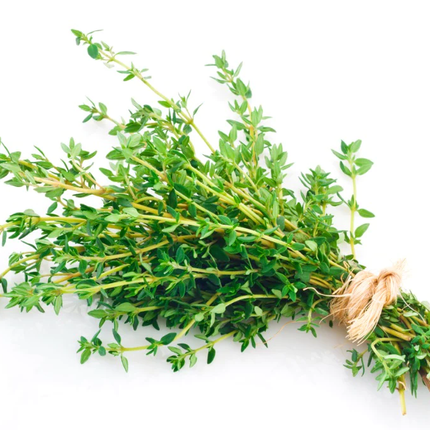 THYME