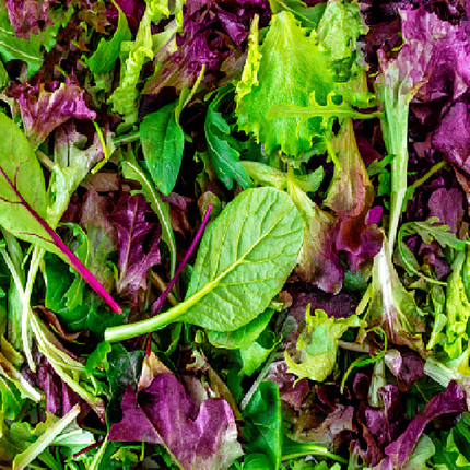 SALAD LEAVES 250G