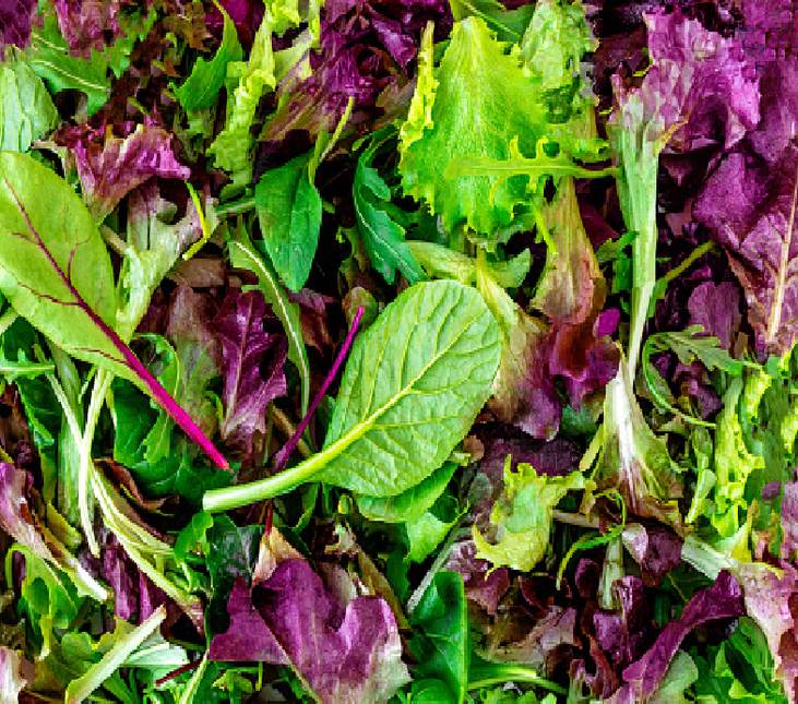 SALAD LEAVES 250G