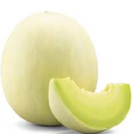 HONEY DEW MELON