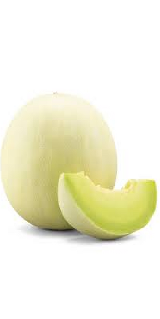 HONEY DEW MELON