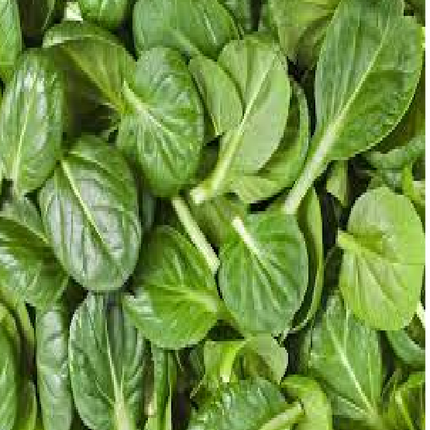 BABY SPINACH 250G