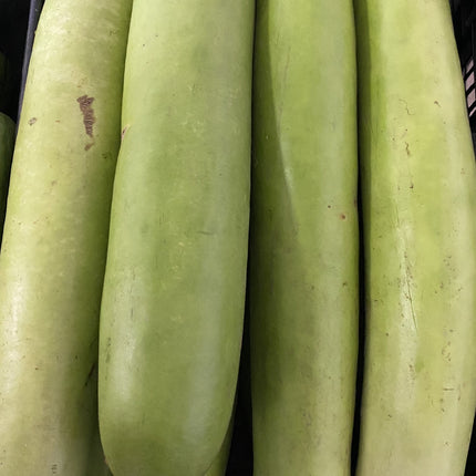 LONG MELON  