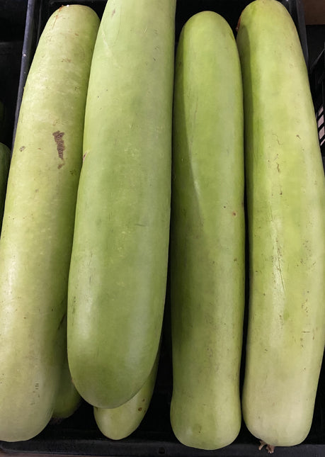 LONG MELON  