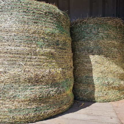 LUCERNE ROUNDS 4X4