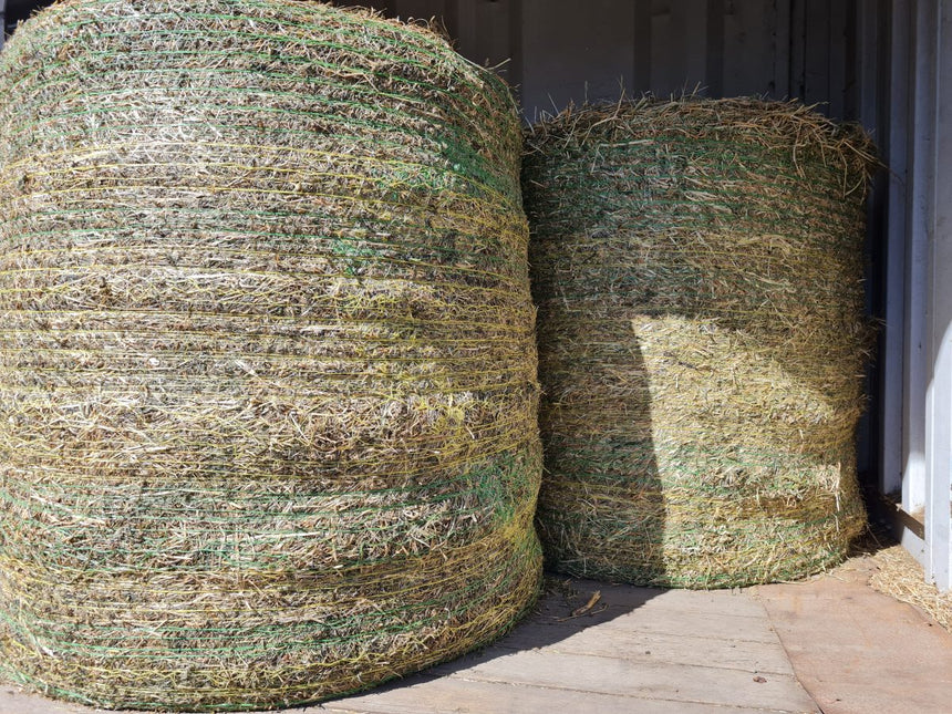 LUCERNE ROUNDS 4X4