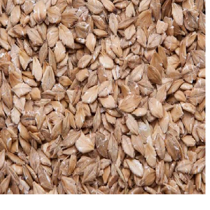 RIVERVIEW STEAMED ROLLED BARLEY 25KG
