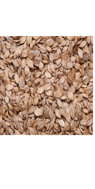 RIVERVIEW STEAMED ROLLED BARLEY 25KG
