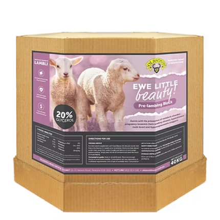 OLSSON'S EWE LITTLE BEAUTY LAMBLI 15KG