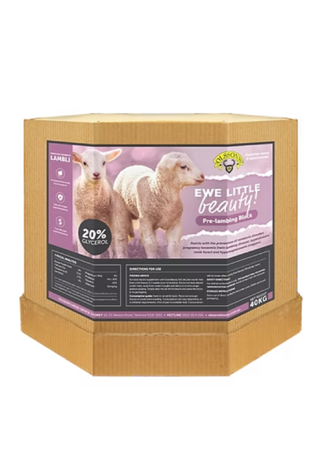 OLSSON'S EWE LITTLE BEAUTY LAMBLI 15KG