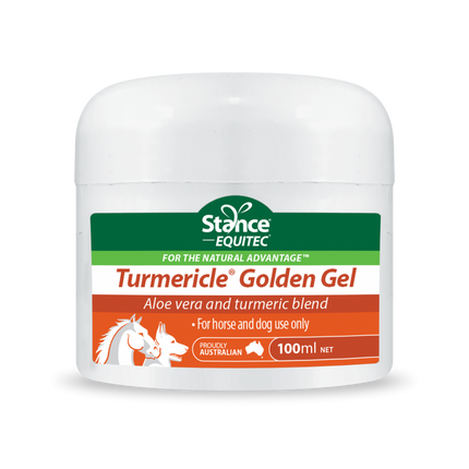 EQUITEC TURMERICLE GOLDEN GEL 100ML