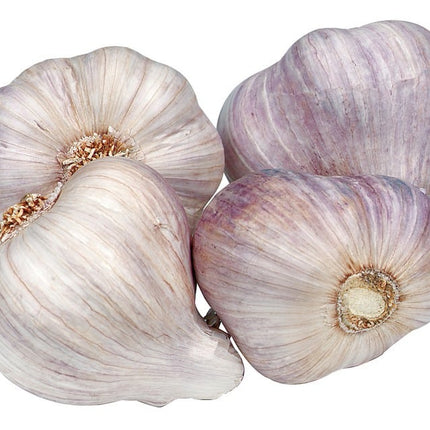 LARGE PURPLE GARLIC