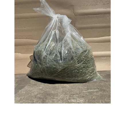 SMALL BAG OF TEFF