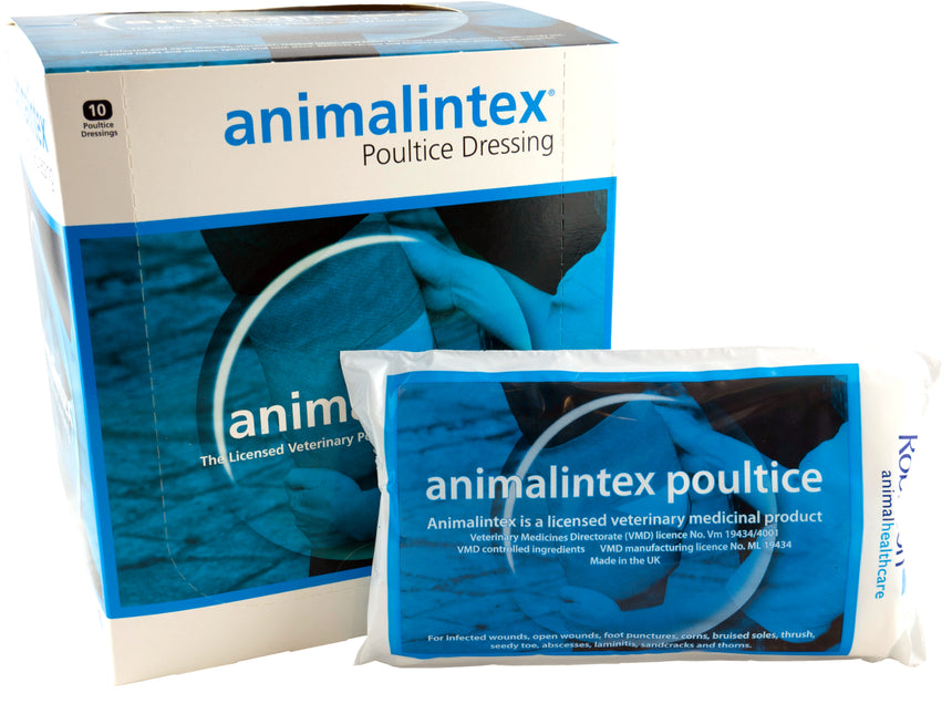 ANIMALINTEX POULTICE