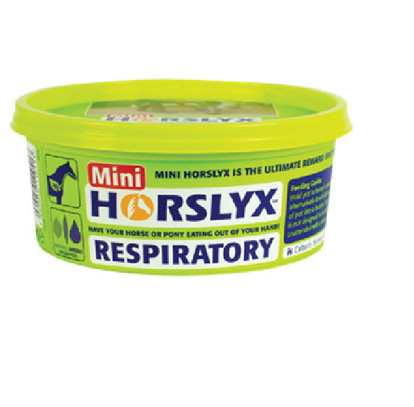 HORSLYX RESPIRATORY 650G