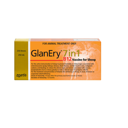 ZOETIS GLANERY 7 IN 1 B12 250ML