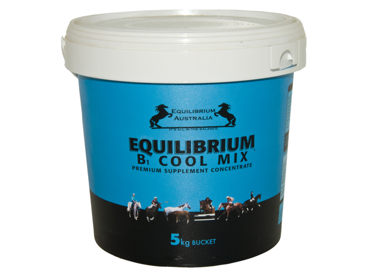 EQUILIBRIUM B1 COOL MIX BLUE 5KG