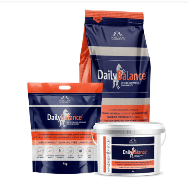 POSEDON DAILY BALANCE 4KG SACHET