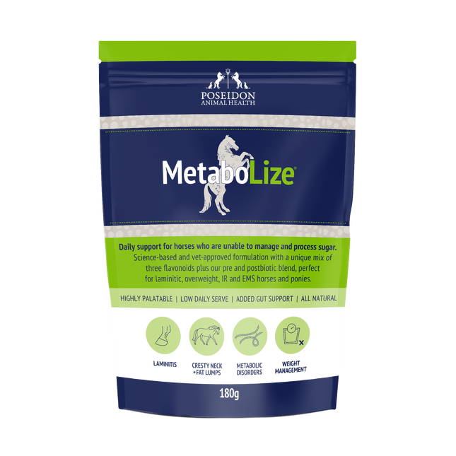 METABOLIZE [SZ:90G]