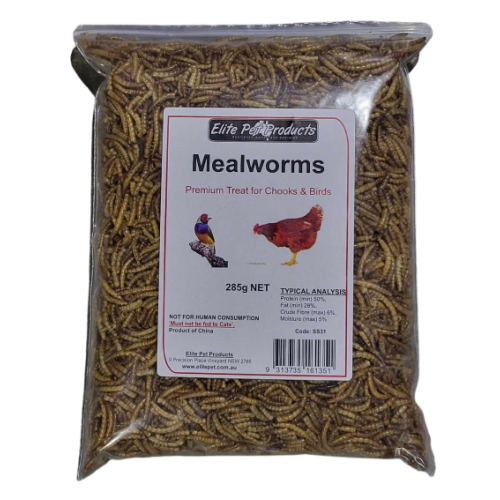 MEALWORMS 285G