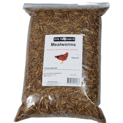 MEALWORMS 850G