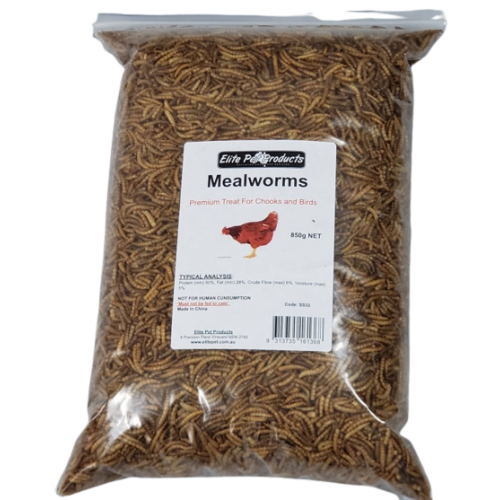 MEALWORMS 850G