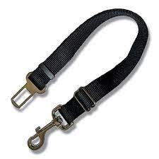 CAR SAEFTY LEAD MED-LARGE 