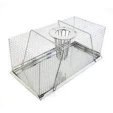 MOUSE TRAP DROP IN 30CM 