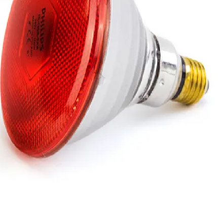 PHILLIPS INFRARED LIGHT BULB (RED) - 175W
