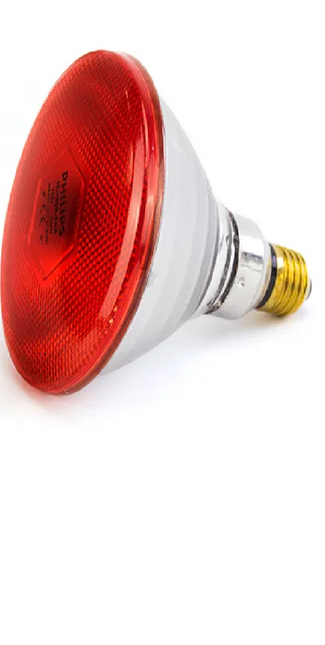 PHILLIPS INFRARED LIGHT BULB (RED) - 175W