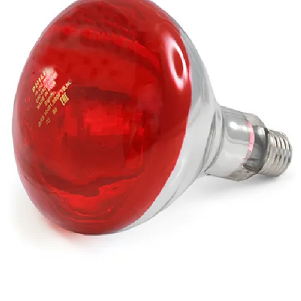 PHILLIPS INFARED BULB (RED) 250W
