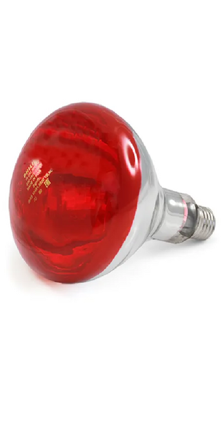 PHILLIPS INFARED BULB (RED) 250W