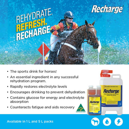 VIRBAC RECHARGE  1L