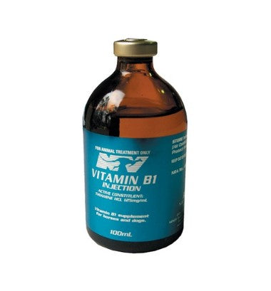 NV VITAMIN B1 INJECTION 100ML