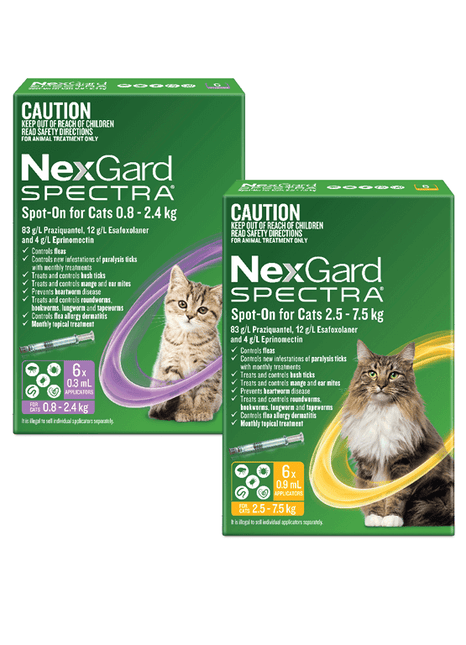 NEXGARD SPECTRA CATS 0.8 - 2.4KG 6 PACK