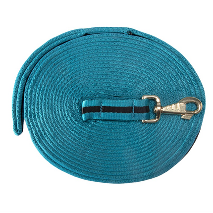 WEB LUNGE LEAD - TURQUOISE/BLACK 8M