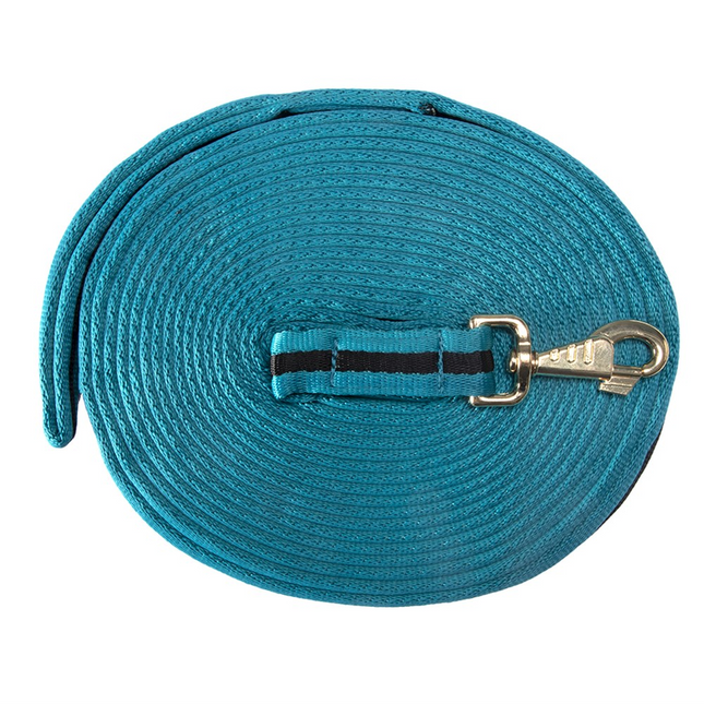 WEB LUNGE LEAD - TURQUOISE/BLACK 8M