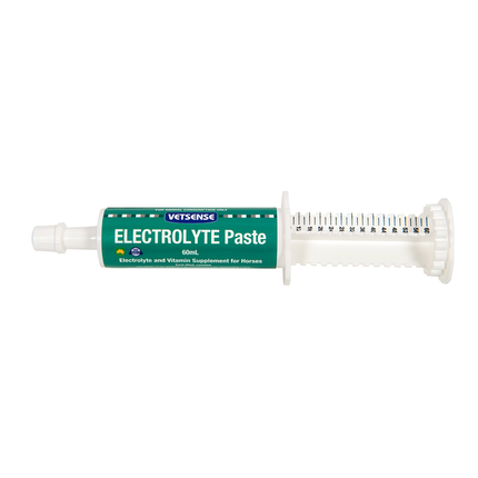 VETSENSE ELECTROLYTE PASTE 60ML