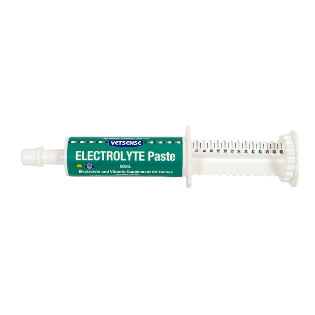 VETSENSE ELECTROLYTE PASTE 60ML