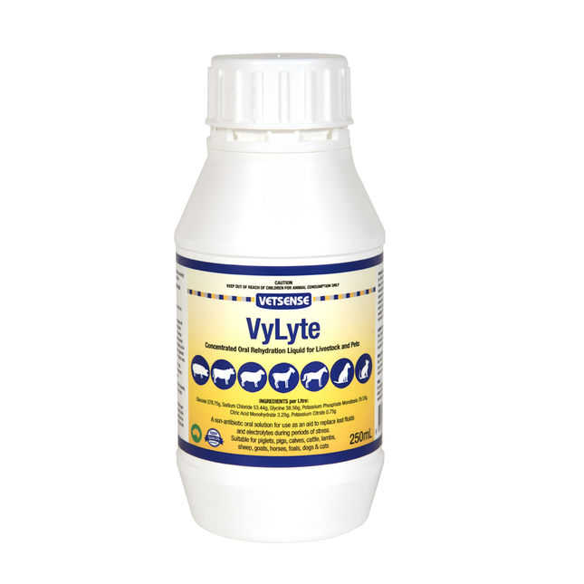VETSENSE VYLYTE 250ML
