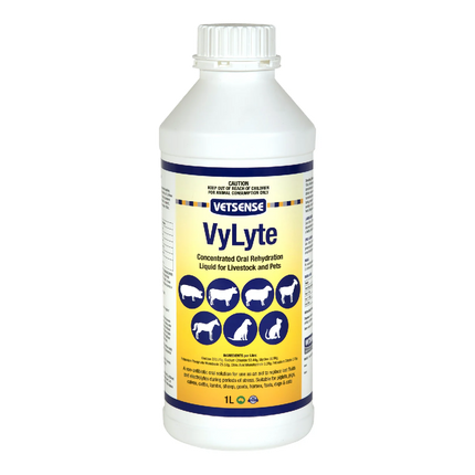 VETSENSE VYLYTE 1LT
