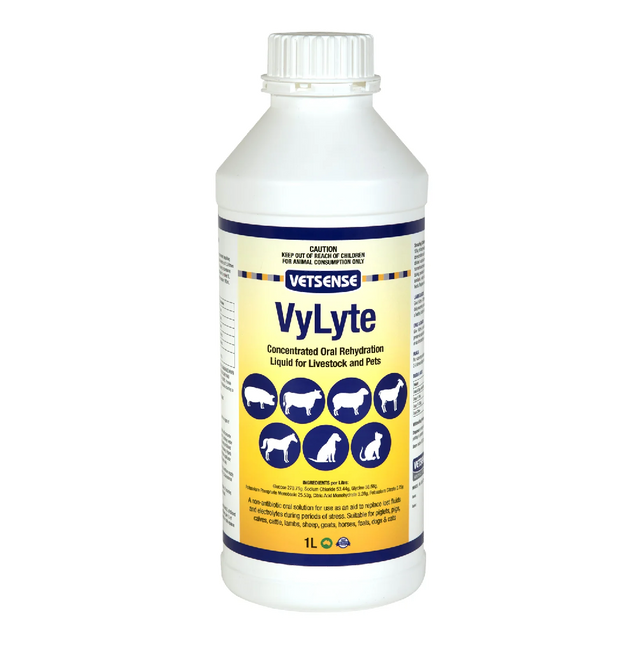 VETSENSE VYLYTE 1LT