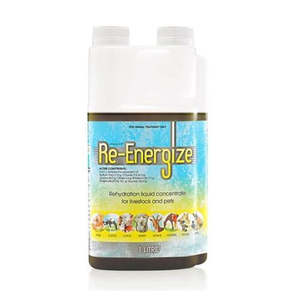 IAH RE-ENERGIZE1LT
