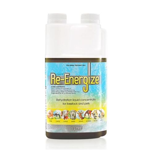 IAH RE-ENERGIZE1LT