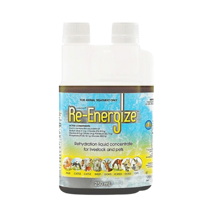 IAH RE-ENERGIZE 250ML